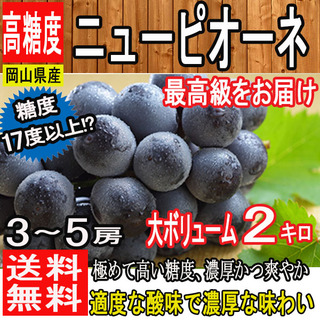 岡山県の名産品 特産品のお取り寄せ